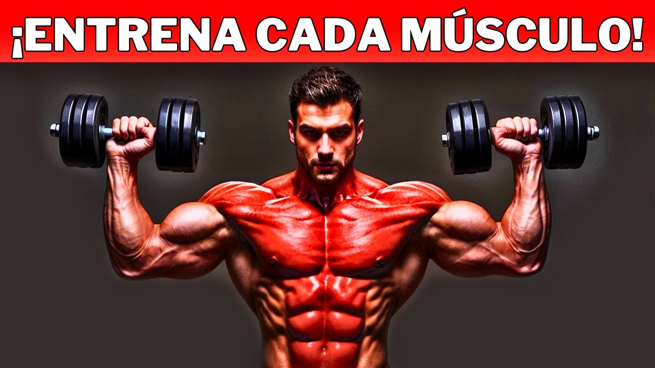 Estos 8 Ejercicios Con Mancuernas Transformarán Por Completo Todo Tu Cuerpo
