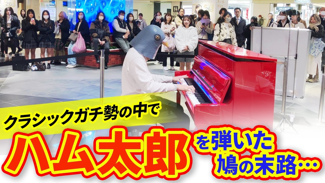 【悲報】クラシックガチ勢の中でハム太郎を弾いた鳩の末路…【ストリートピアノ】