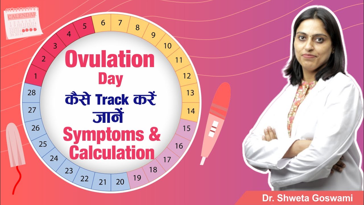 Ovulation Day कैसे Track करें? जानें Symptoms & Calculation | Zeeva Fertility