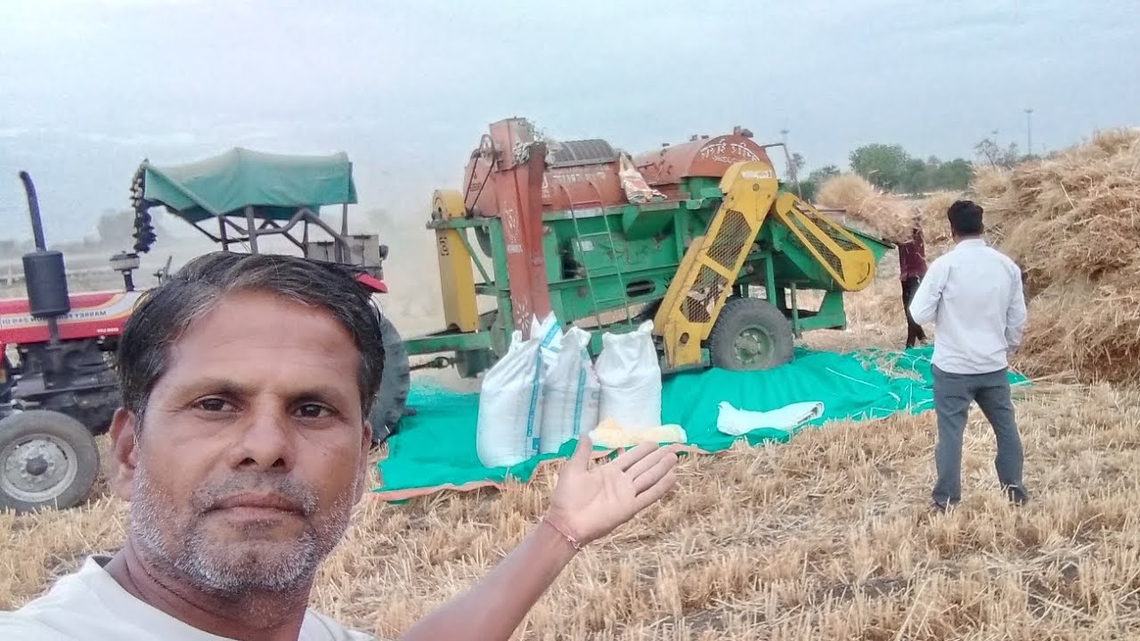 Пшеница сорта «Шрирам Супер 303» дала рекордный урожай! Видео с молотилки пшеницы сорта «Шрирам С...