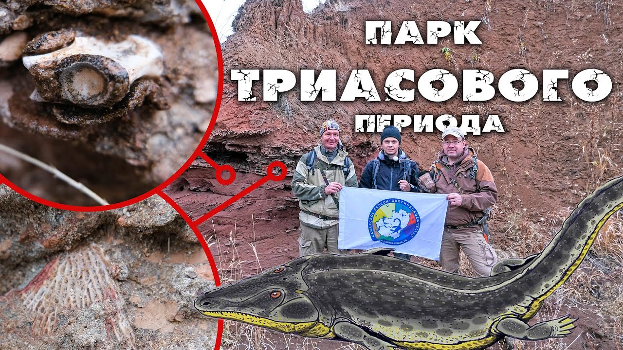 В поисках КОСТЕЙ триасовых РЕПТИЛИЙ и ЗЕМНОВОДНЫХ | УНИКАЛЬНЫЕ находки, которым 250 МИЛЛИОНОВ ЛЕТ