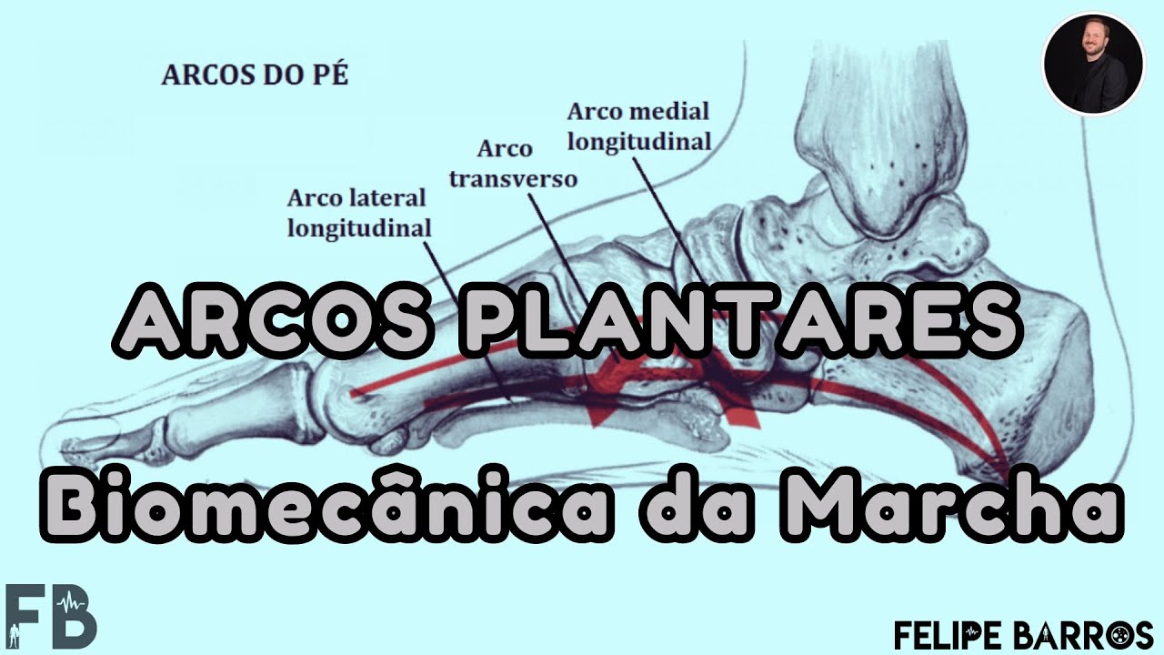 ARCOS PLANTARES - Quais as suas características e funções na marcha? | Prof. Felipe Barros