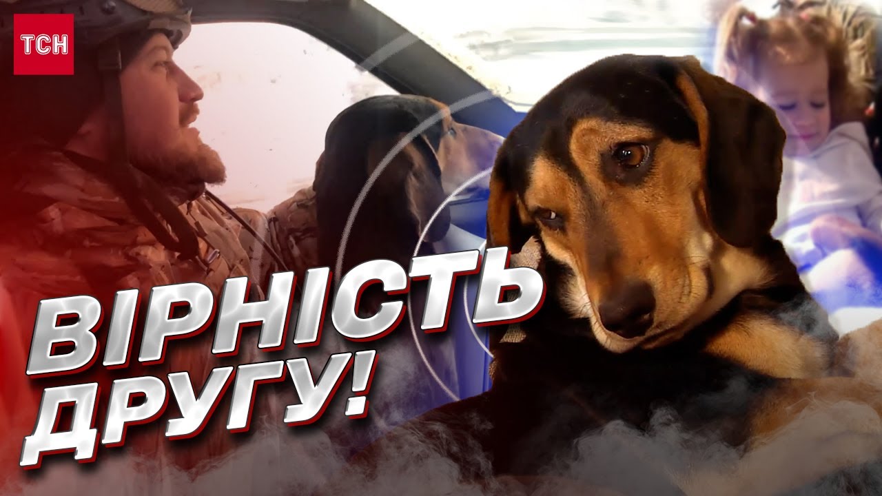 🐶 Спасли друг друга! Боец приютил пса, а тот отблагодарил предупреждениями об обстреле