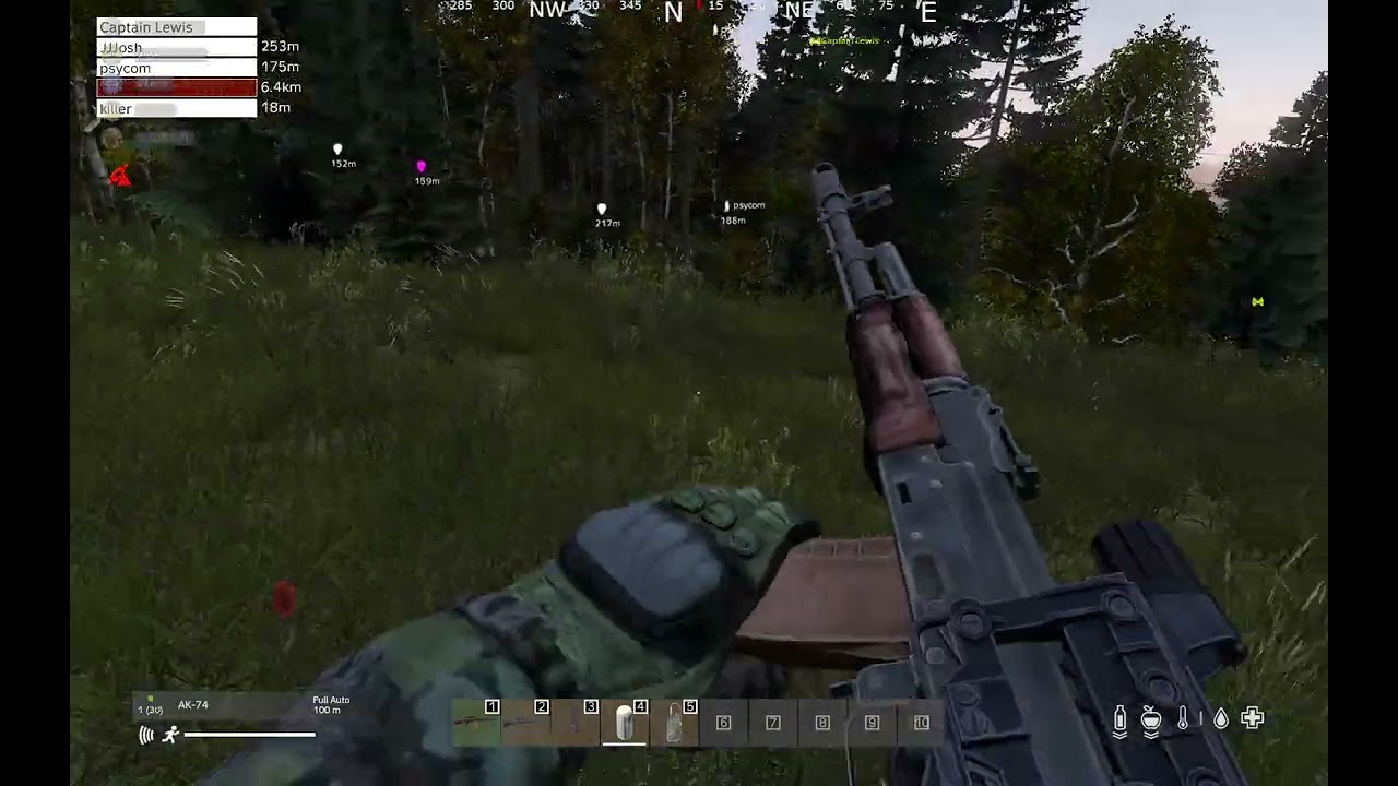 DayZ basically tkt