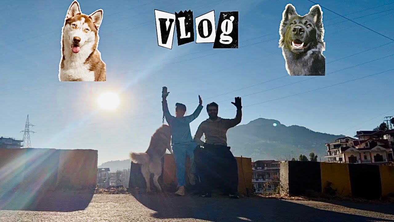 Road Pe Raada 😱 | Husky & German Shepherd Vlog 05