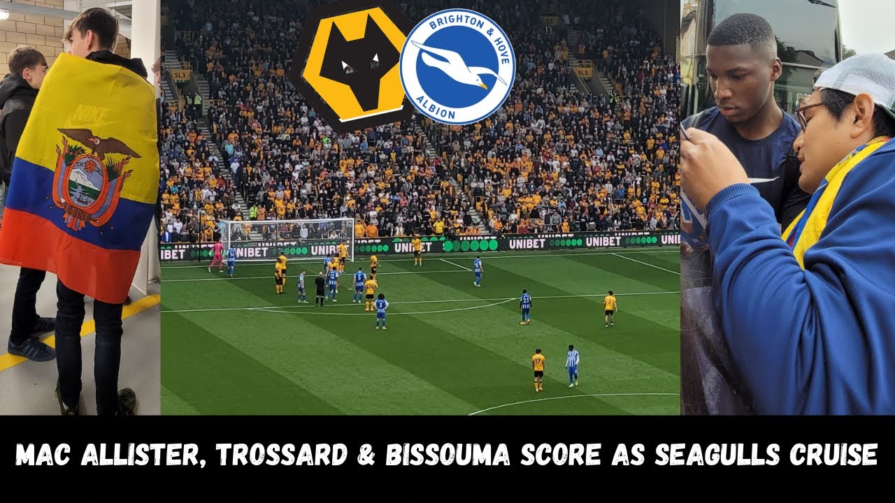 Mac Allister, Trossard & Bissouma score as Brighton | Wolves 0-3 Brighton | MATCHDAY VLOG | CAICEDO