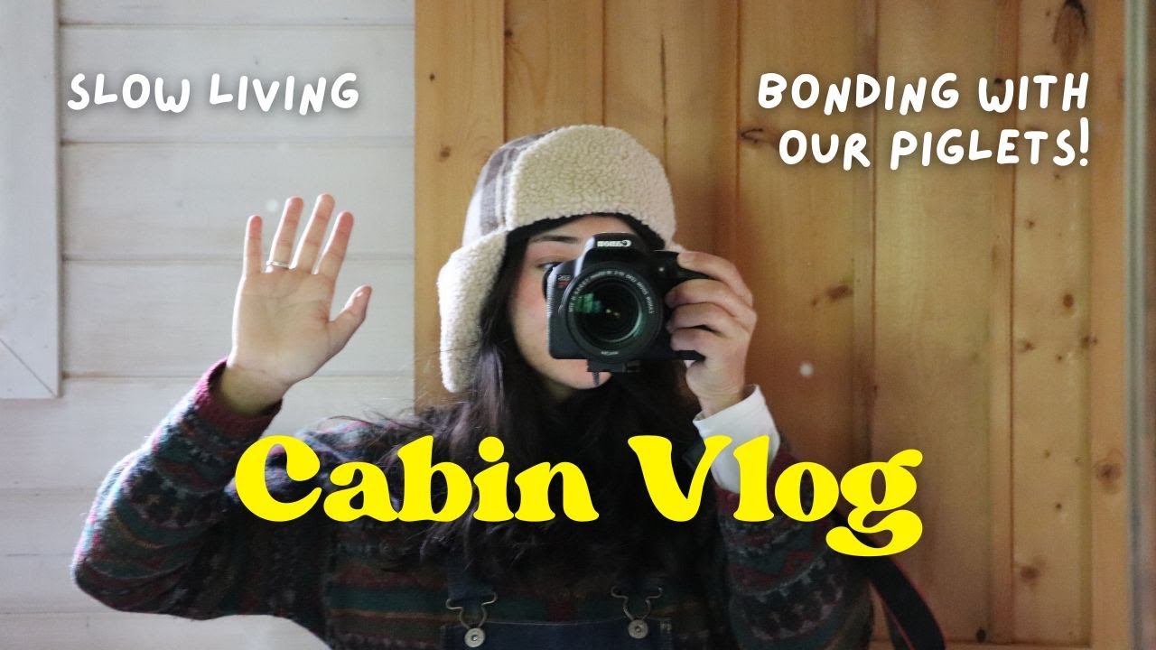 Homestead VLOG: new piglets & home cooked meals