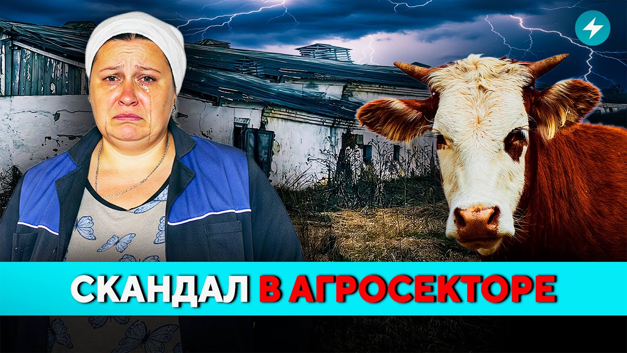 Эта история вас шокирует! Жуткие кадры из сельхозпредприятия. Кто понесёт наказание? // Новости