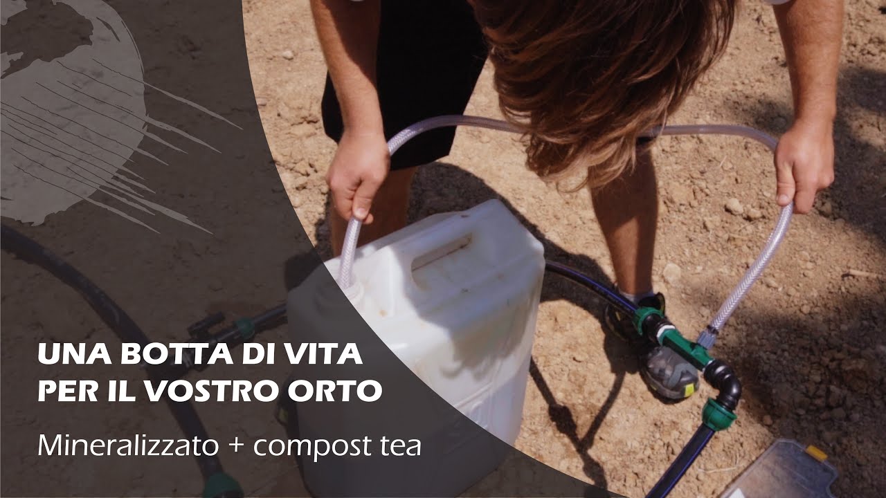 FERTIRRIGAZIONE VENTURI: come utilizzarla nell'orto