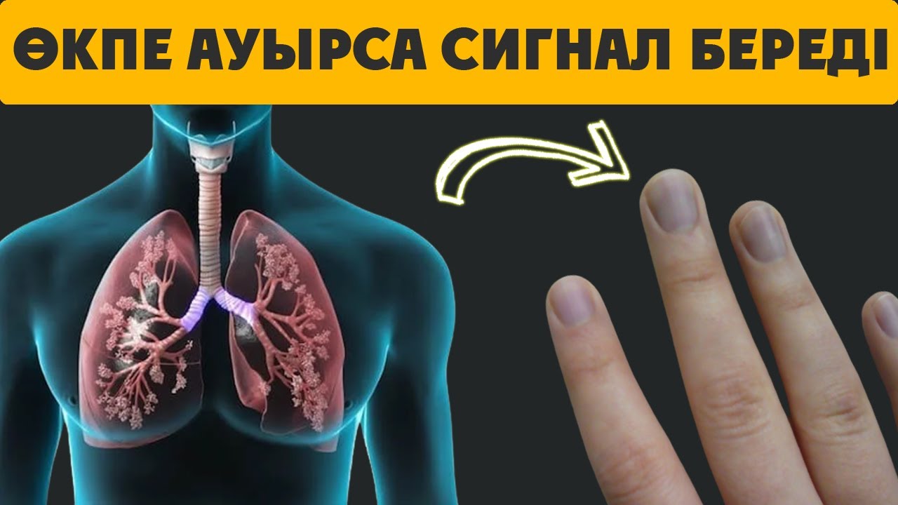 ӨКПЕ Ауырса  ОСЫЛАЙ ХАБАР БЕРЕДІ, Өкпені Тазартудың ҚҰПИЯСЫ