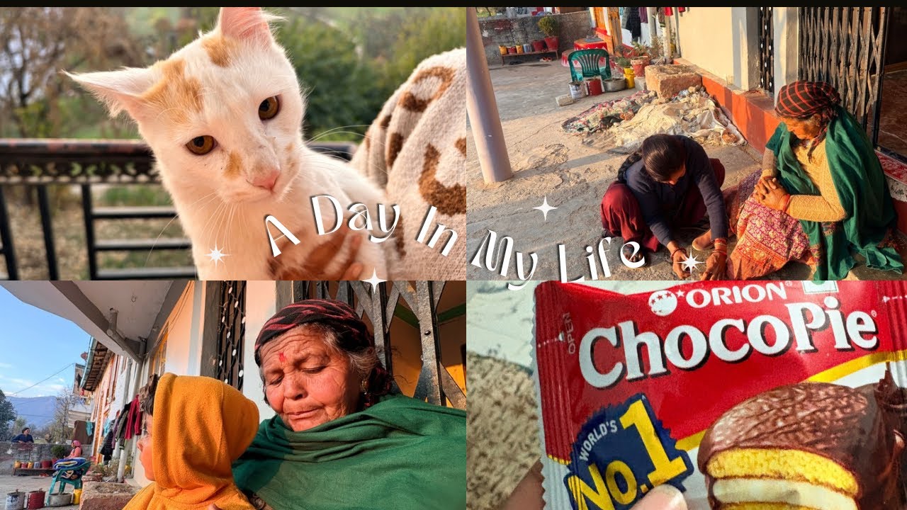 मिलिए बर्फ़ी से ❤️#vlogs #pithoragarh @muskan_bisht 