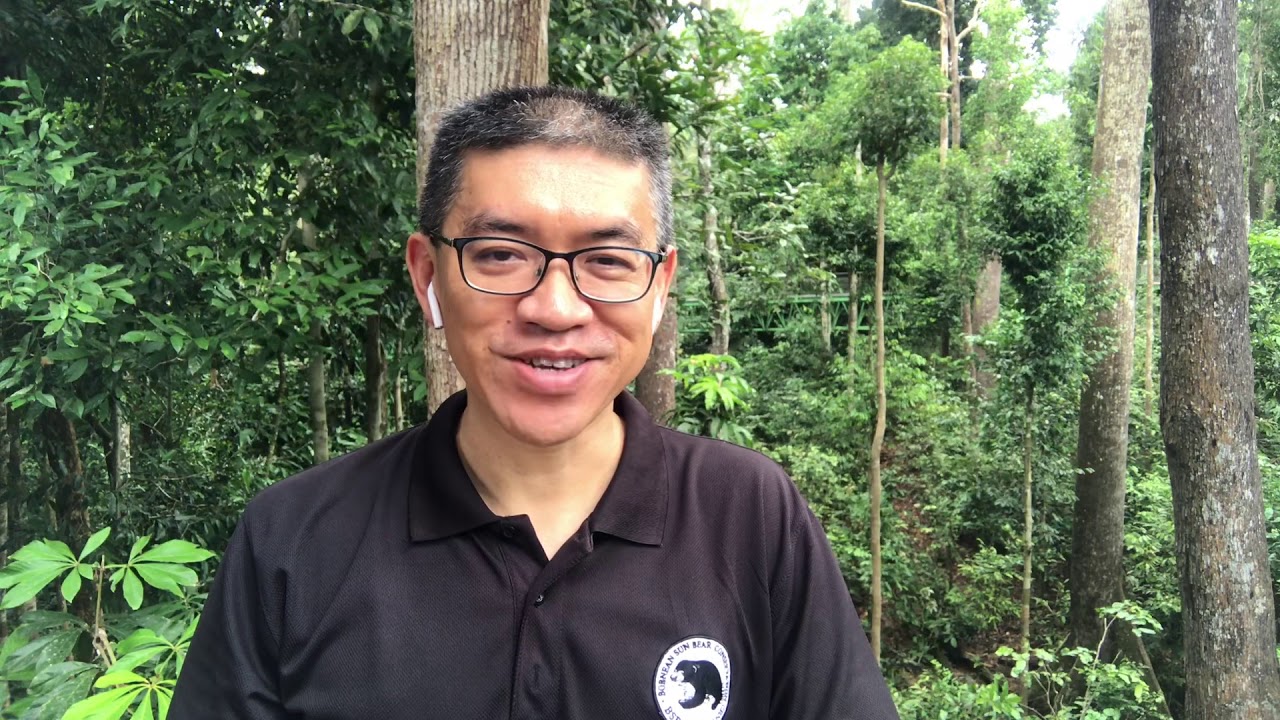 Ours malais : pr&eacute;sentation du Bornean Sun Bear Conservation Centre par le Dr Siew Te Wong