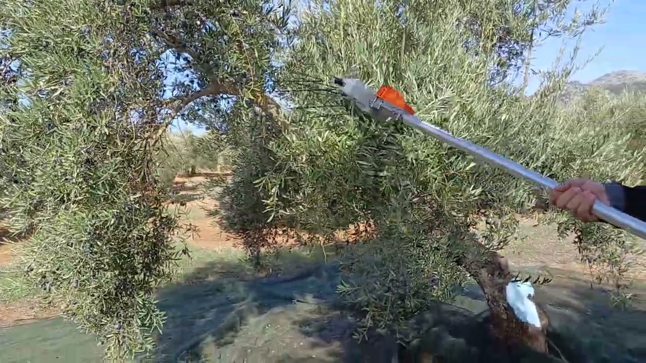 VAREADOR STIHL SPA 130