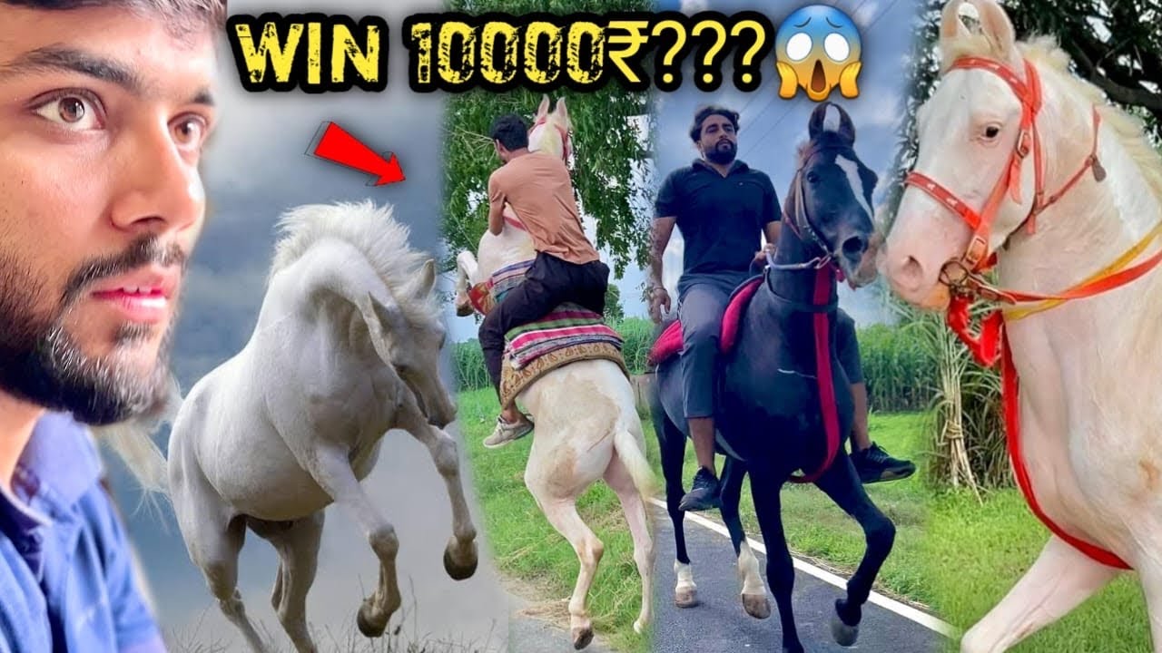 🔥2 PAIR0 PAR CHALN£ WAAL£ GH0DE PR RIDE KRN! H0GI 😱WILL HE DO IT ? KH00NKHAAR GH0DA😨