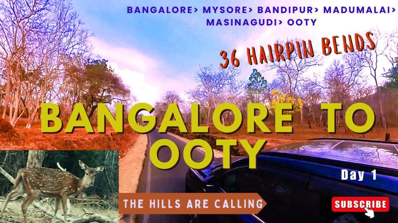 Bangalore to Ooty Road Trip l 36 Hairpin Bend l Bandipur Mudumalai TigerReserve l Day1 l TravelGuide