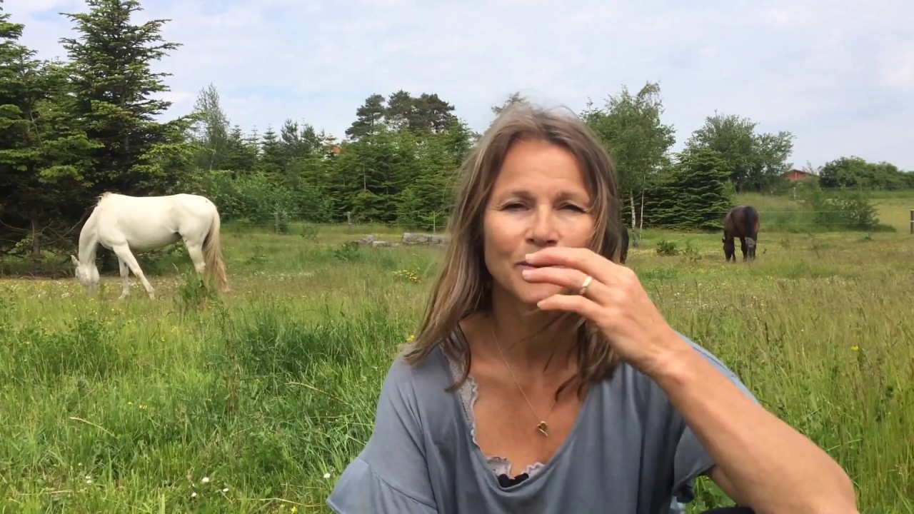 Med hesten som leder