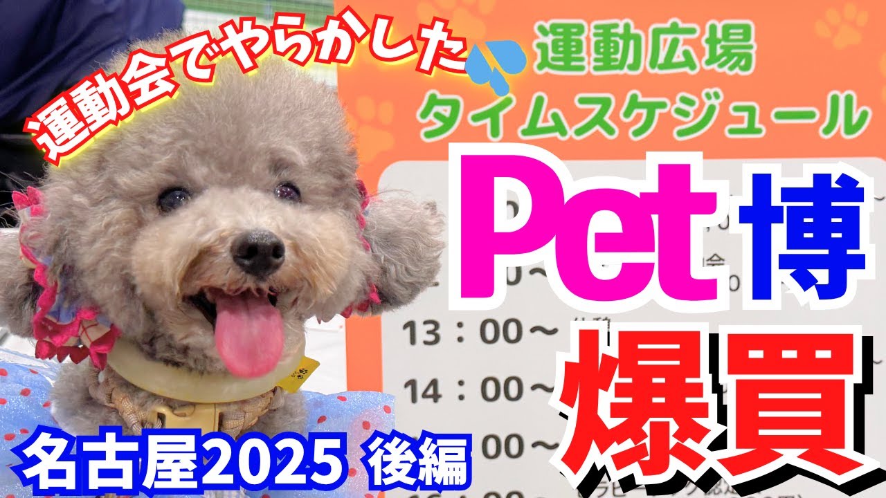 【Pet博2025名古屋 】ワンちゃん運動会で大爆笑！ついにやらかしてしまいました💦【ポートメッセ名古屋】