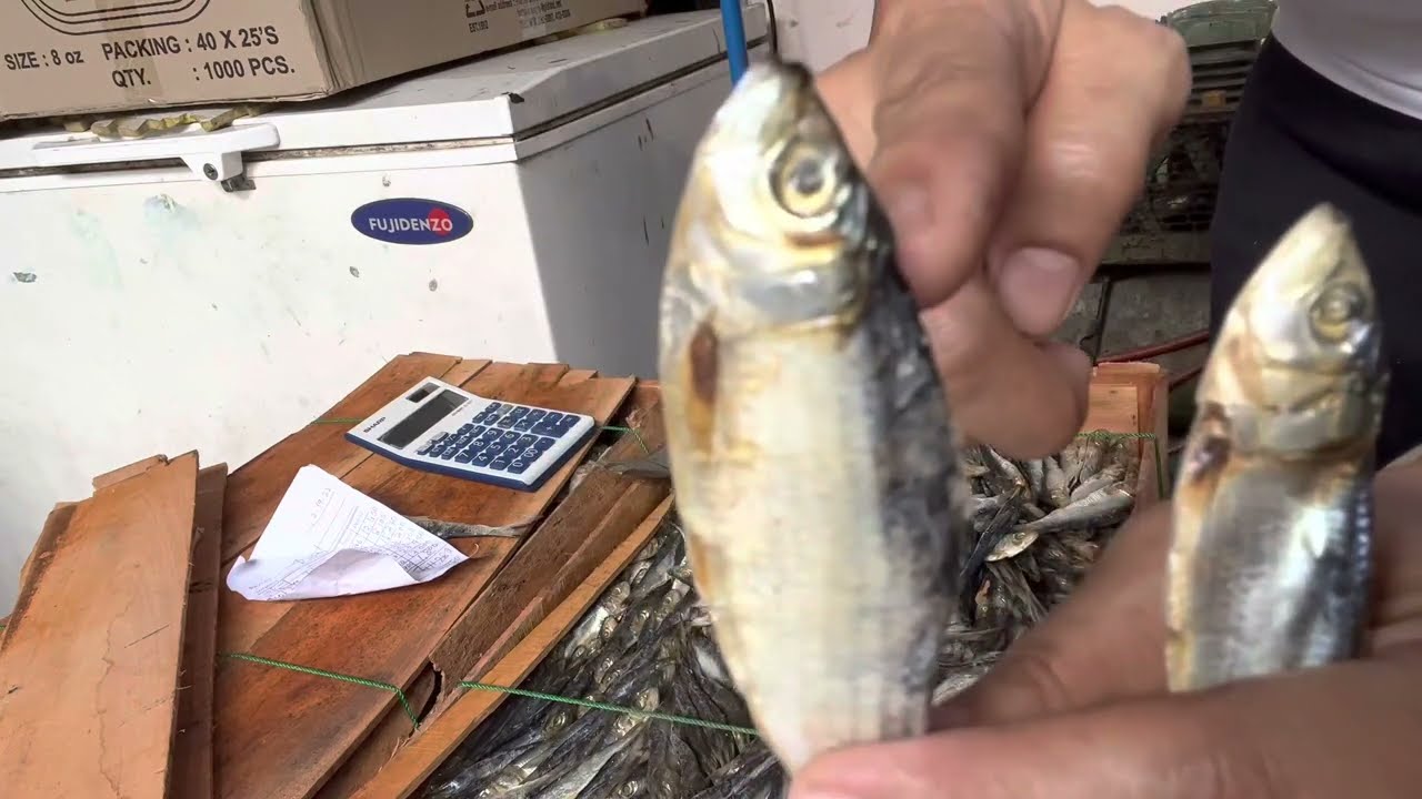 Magkano ang tubo sa tuyo na tamban or Driedfish