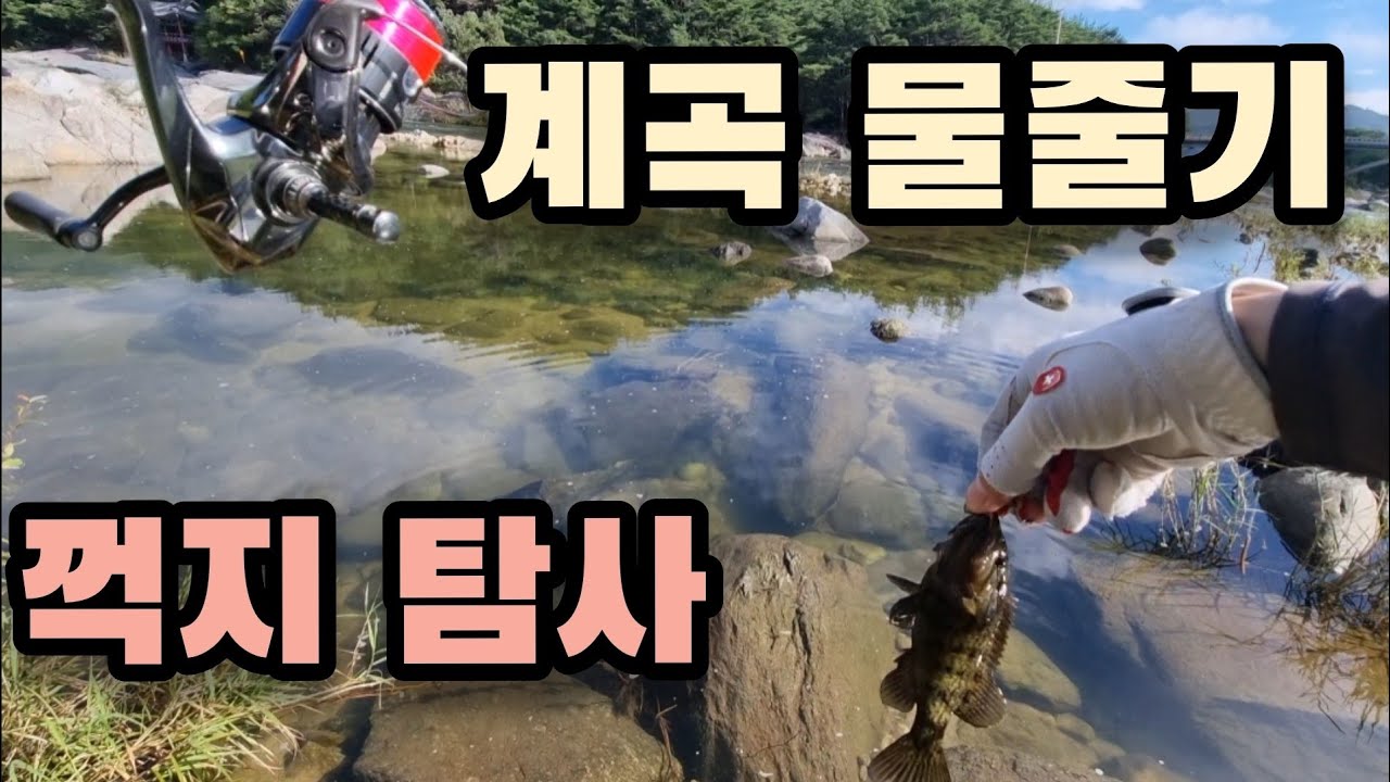 아름다운 계곡 물줄기의 꺽지들, 꺽지낚시!