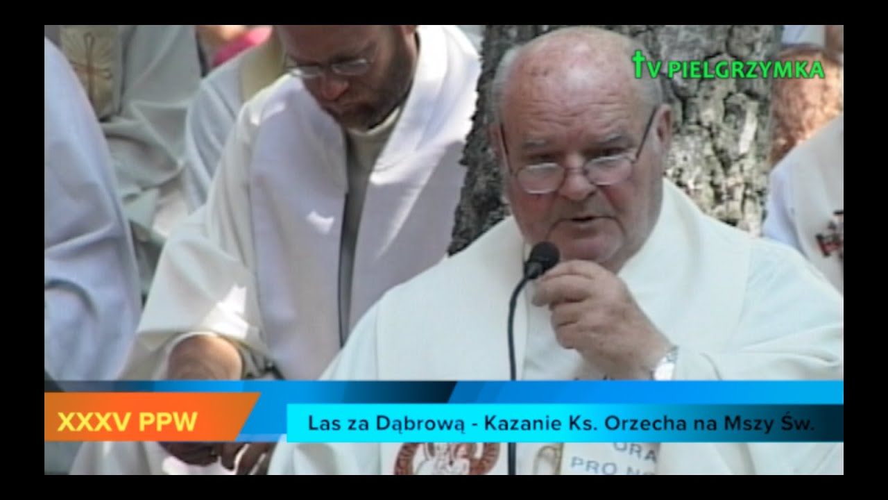 XXXV PPW - Las za Dąbrową - Msza Św. - Kazanie ks. Orzecha - 2015-08-08