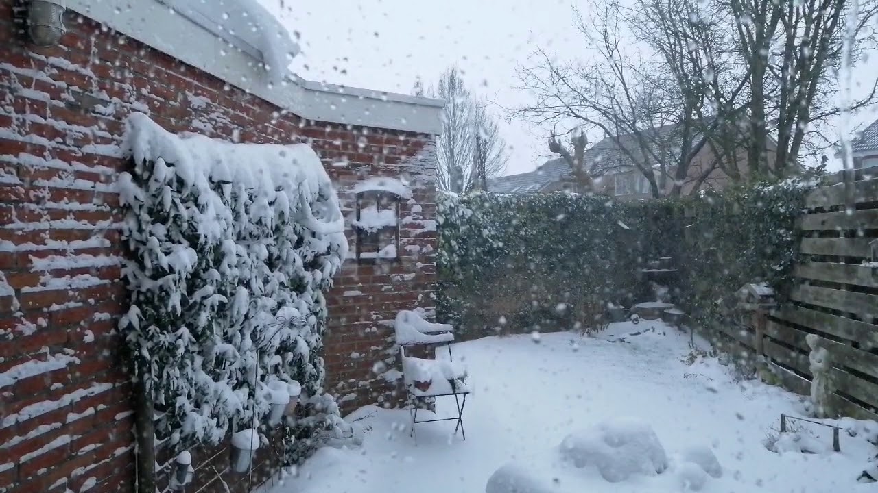Winter februari 2021