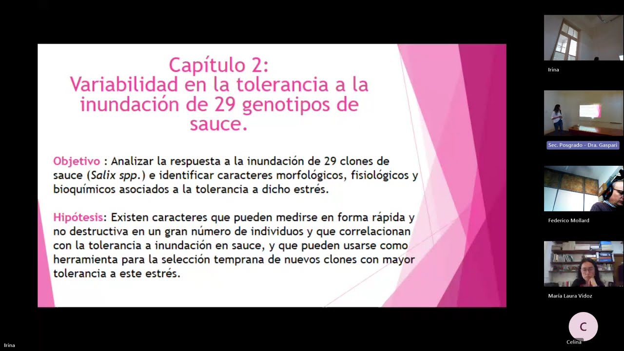 DEFENSA TESIS DOCTORAL ING MOZO 2025 10 31