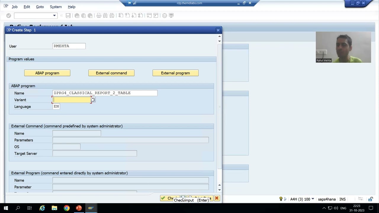 87 - Additional ABAP Concepts - Background Jobs - SM36 and SM37 Part1