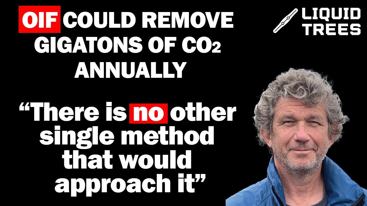 Mark Wells: Can Iron Really Cool the Planet? | Ocean Iron Fertilization | Liquid Trees #020