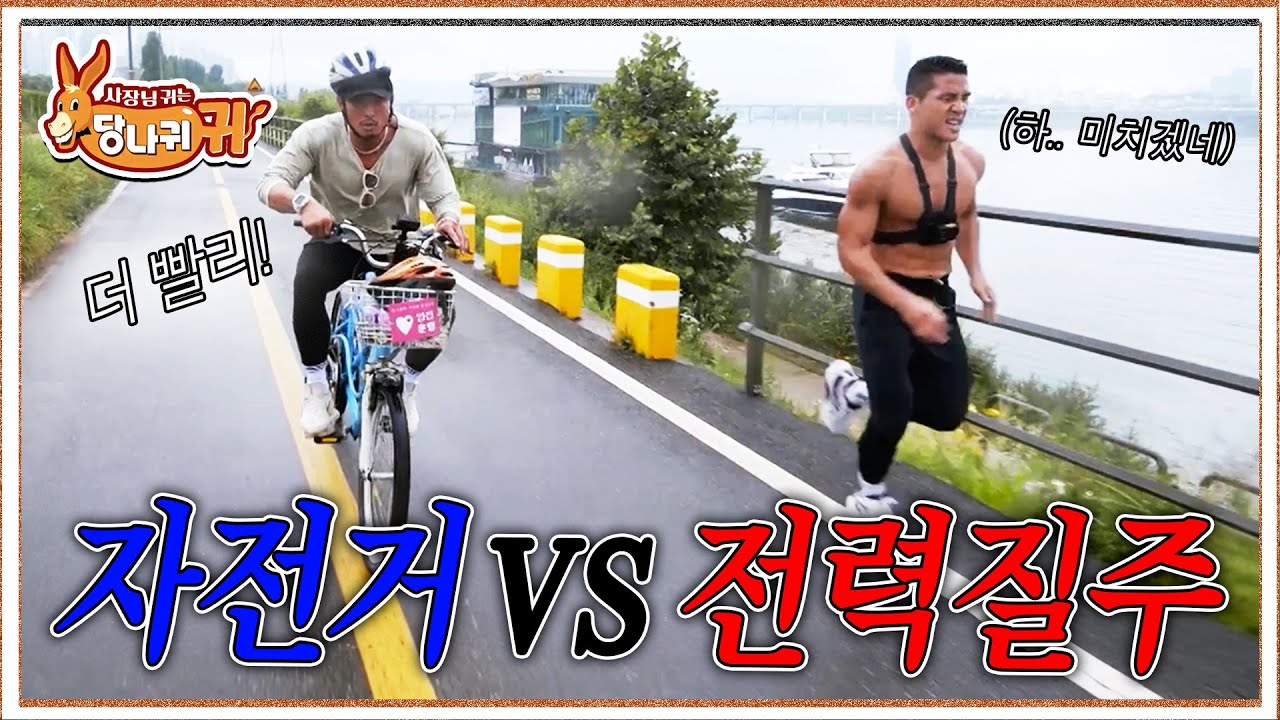 5km 20분 안에 들어올 수 있지? 추성훈 표 훈련 강도 실화냐ㅋㅋ  | 사장님 귀는 당나귀 귀 230723