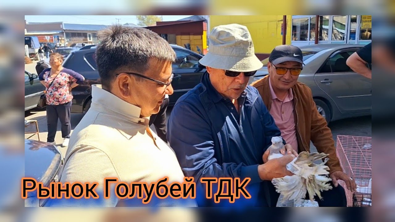 Рынок Голубей Талдыкоргана. Весенняя Мини ярмарка голубей Жетысу.
