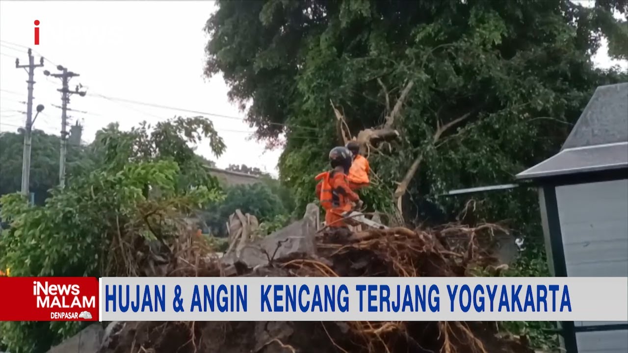 Hujan Deras & Angin Kencang Akibatkan Pohon Beringin Raksasa di Yogyakarta Tumbang #iNewsMalam 01/04