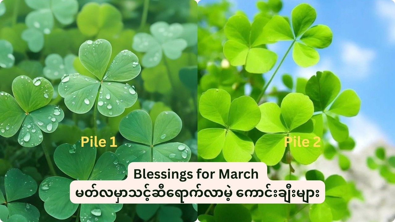 မတ်လမှာ သင့်ဆီရောက်လာမဲ့ကောင်းချီးများ Blessings for March