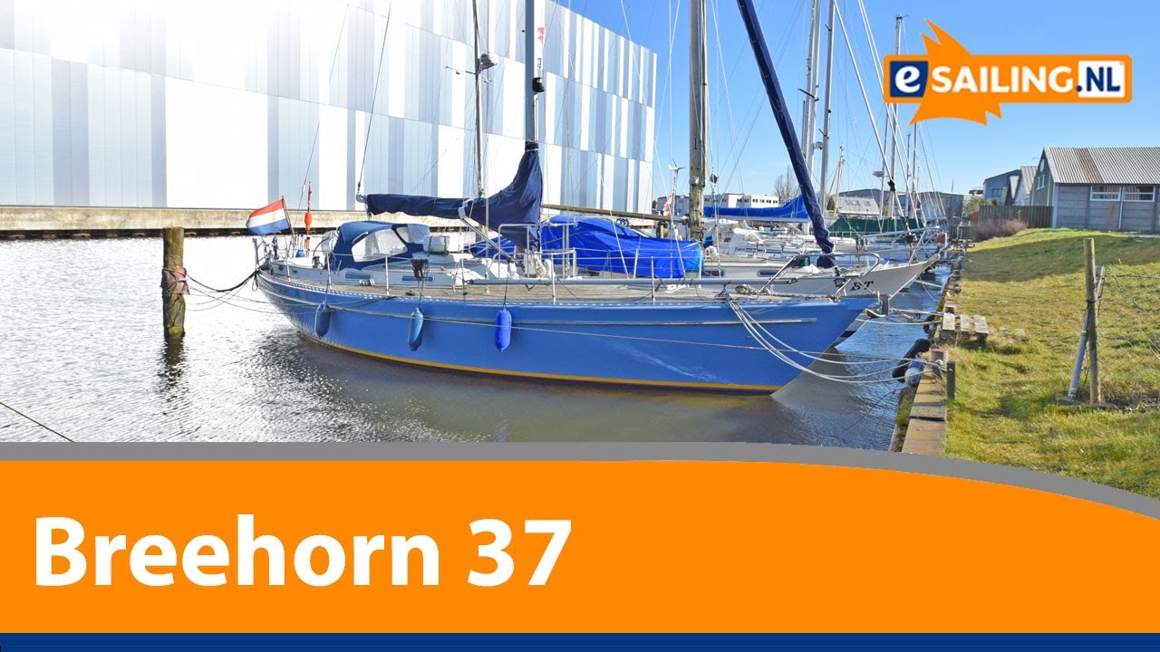 Breehorn 37 | Walkthrough