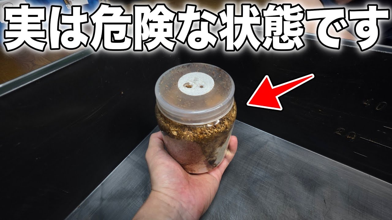 この状況のボトルを見つけたらすぐに空けてください