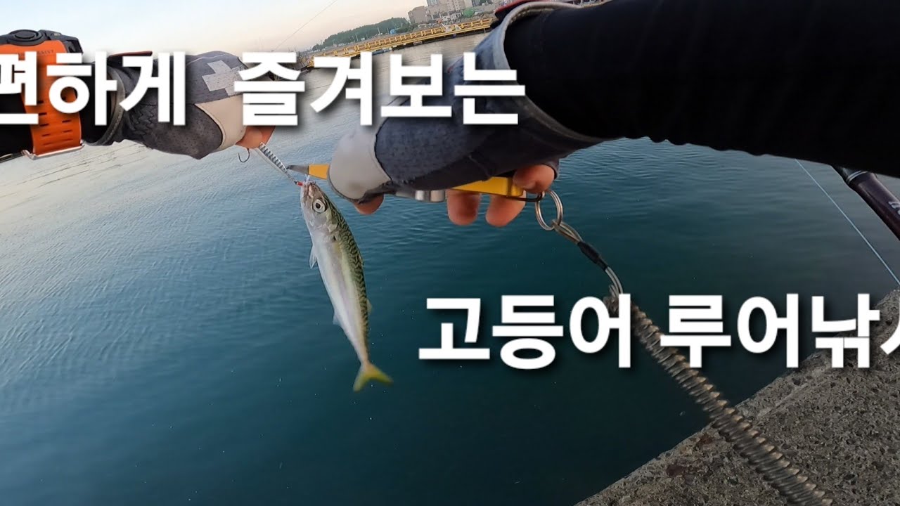초보자도 편하게 즐기는 고등어 메탈지그 루어 낚시