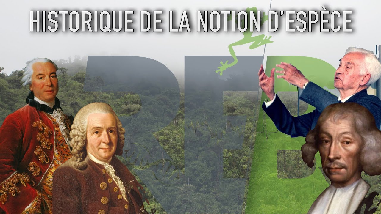 Définition historique de la notion d'espèce