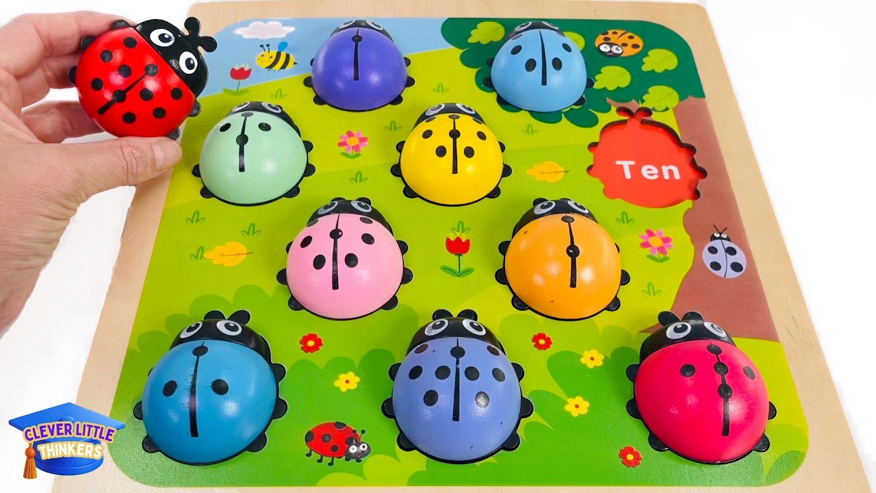 Best Learning Numbers & Shapes with Ladybugs | Count 1 to 10 | Preschool Toddler Learning Video