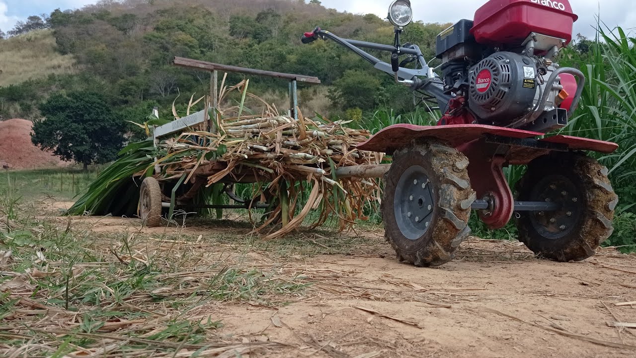 Nossa nova maneira de carregar Capim !!!