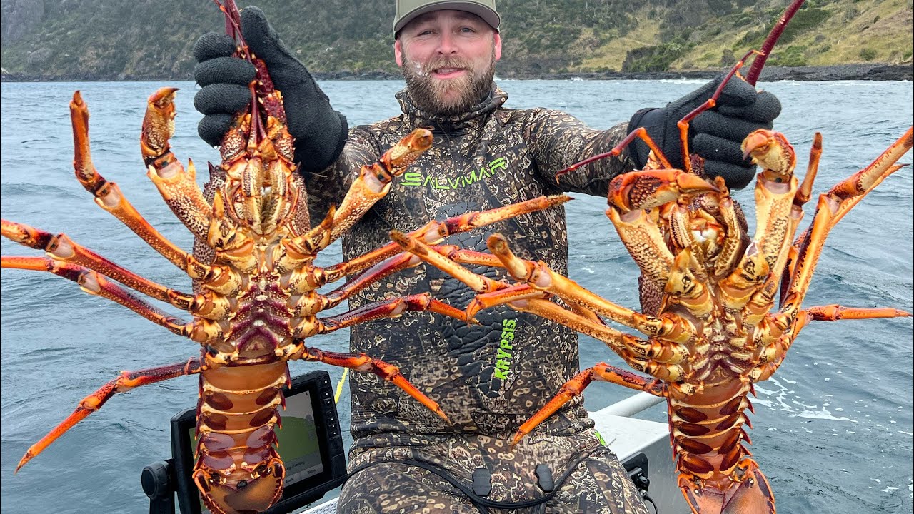 Diving For Huge Crayfish!!
