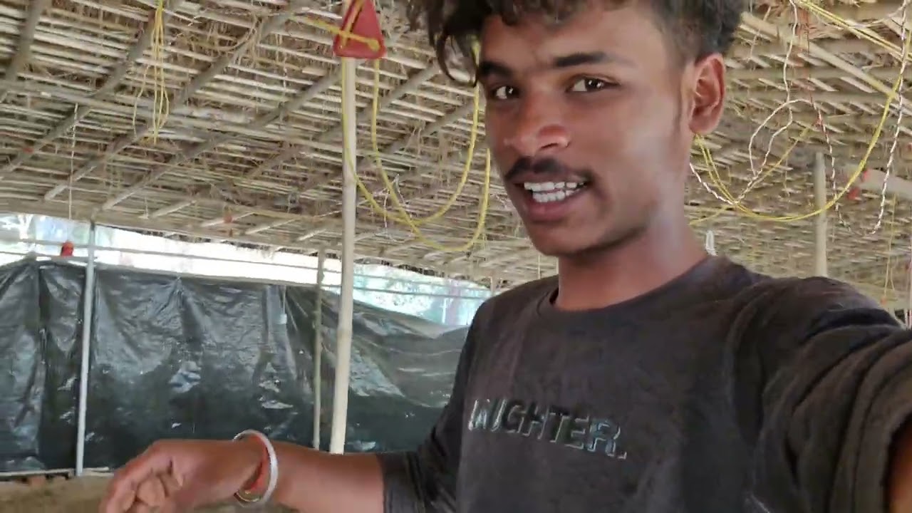 Form Safai ll Murga ki tayari ll Vlogs video 