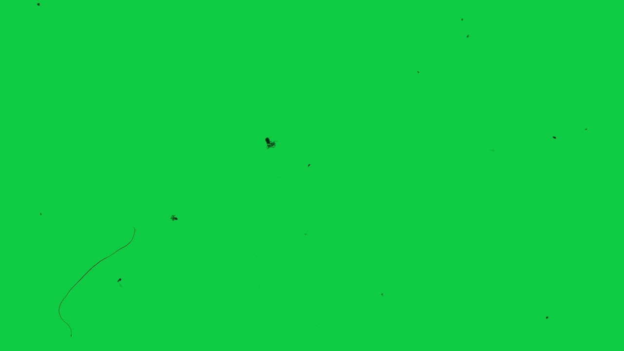 Vintage VHS Green Screen | old film grain overlay | scratches