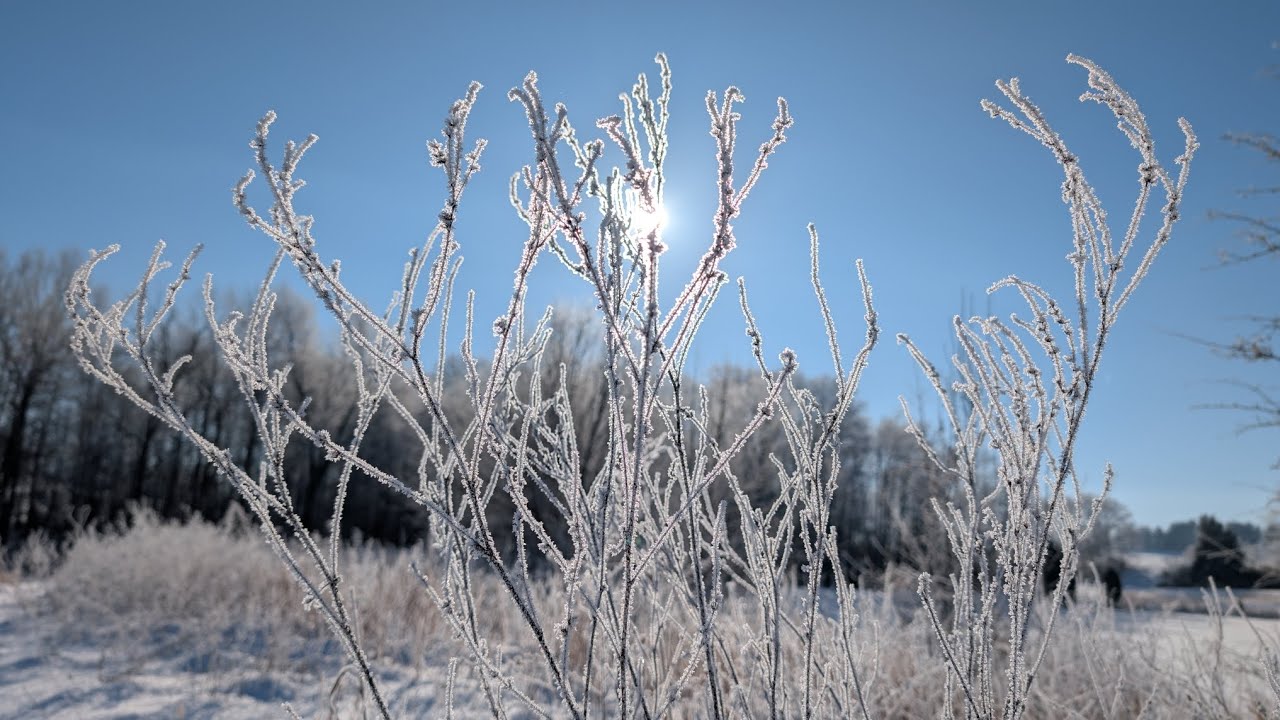 Ice Fog
