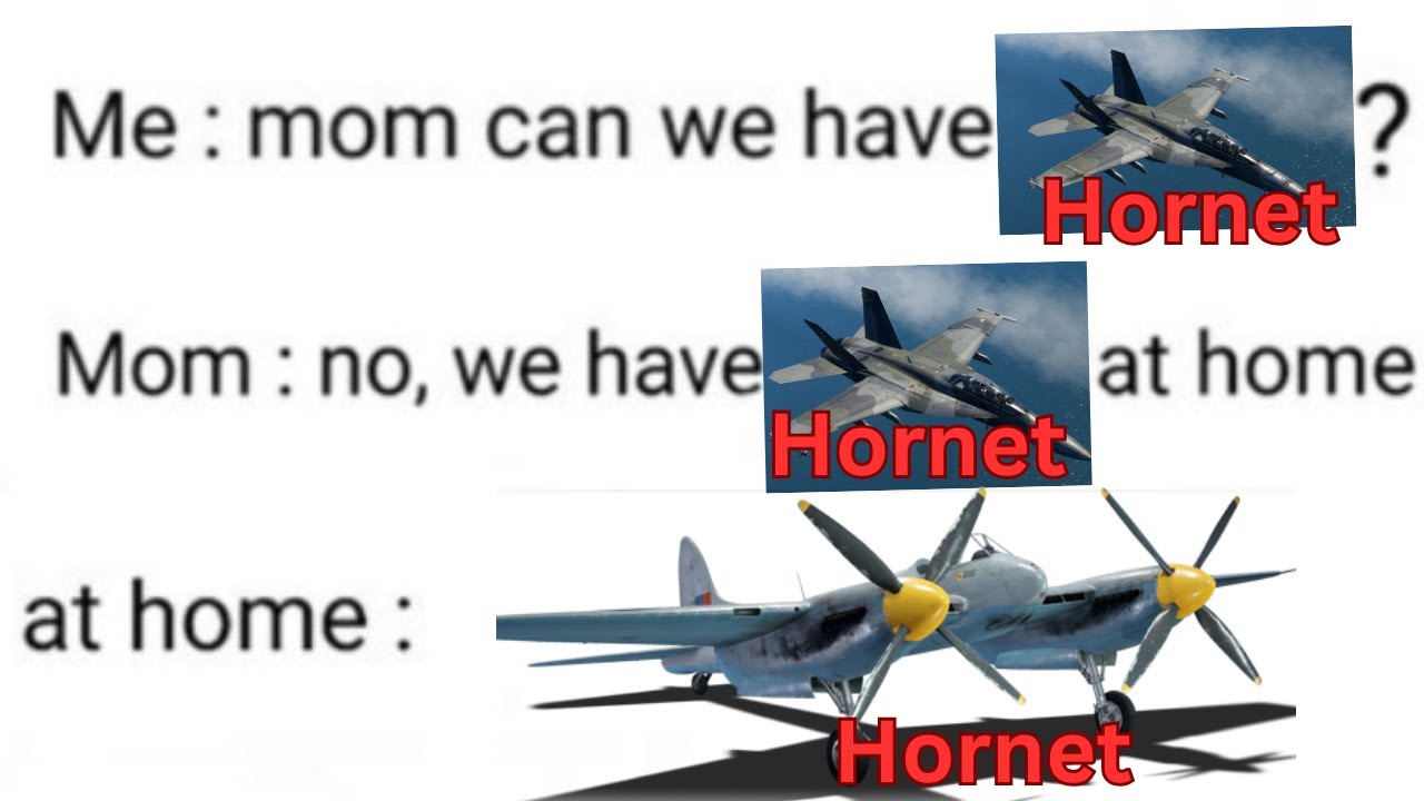 What Happens When You Have a HORNET at Home