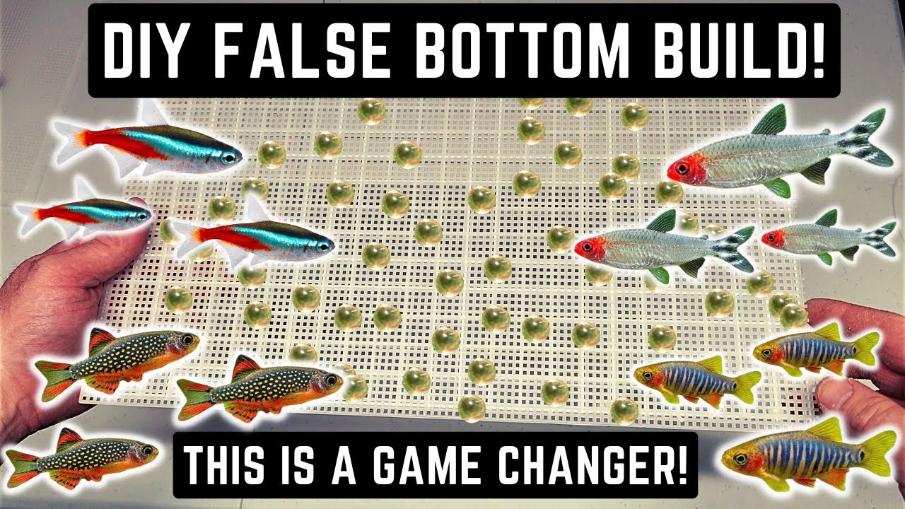 HOW TO MAKE A DIY FALSE BOTTOM FOR BREEDING NANO FISH LIKE NEON TETRAS AND CELESTIAL PEARL DANIOS!