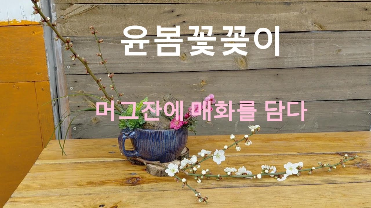 윤봄꽃꽂이 '머그잔에 매화를 담다'