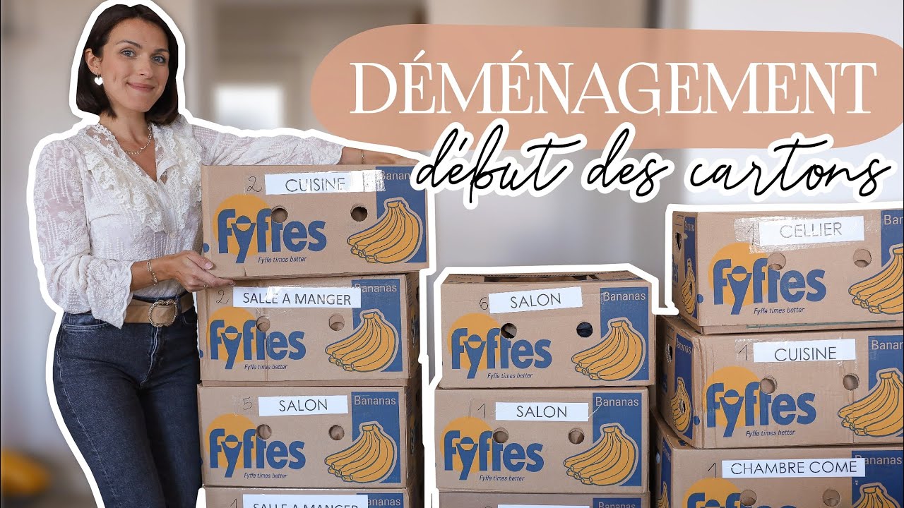 Premiers cartons - Le déménagement approche !