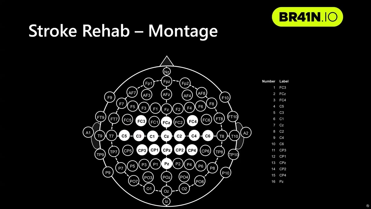 Motor Imagery, P300, SSVEP, ECoG datasets - Hackathon during IEEE SMC 2025