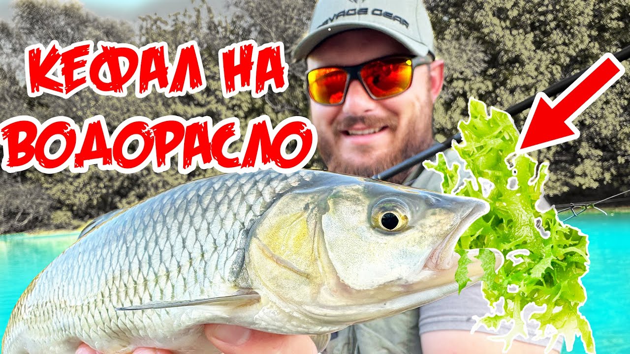 Хванах ОГРОМЕН КЕФАЛ ОТ ОСТРОВ! РИБОЛОВ НА КЕФАЛ НА РЕКА ЯНТРА.