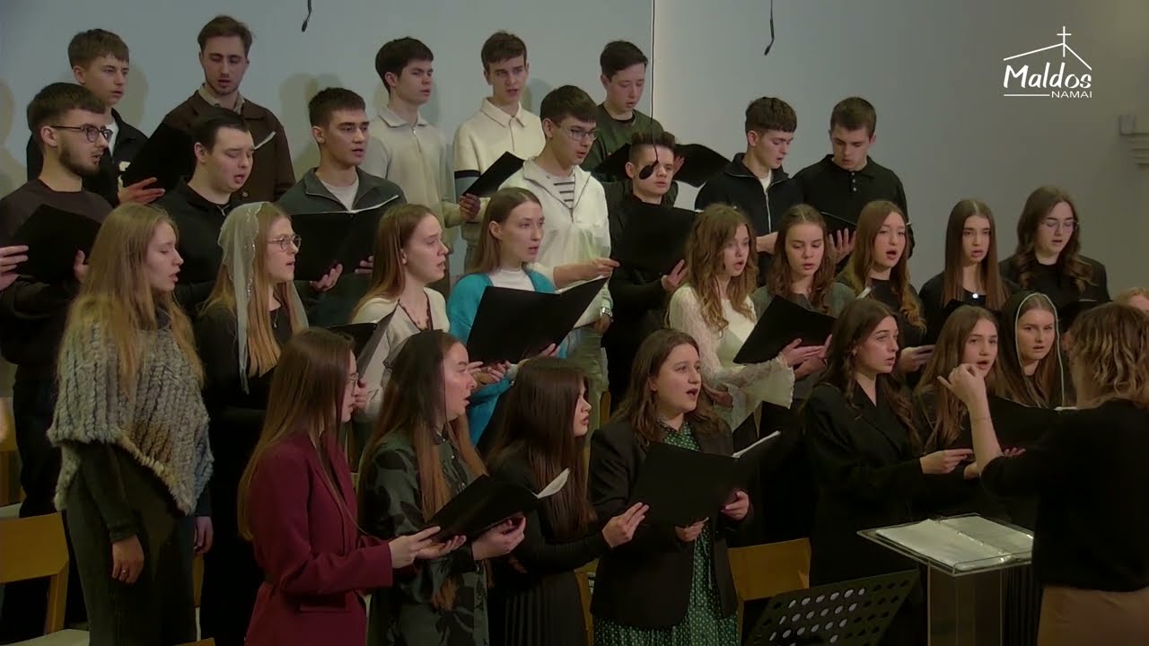 На крыльях зари||2026.02.15 