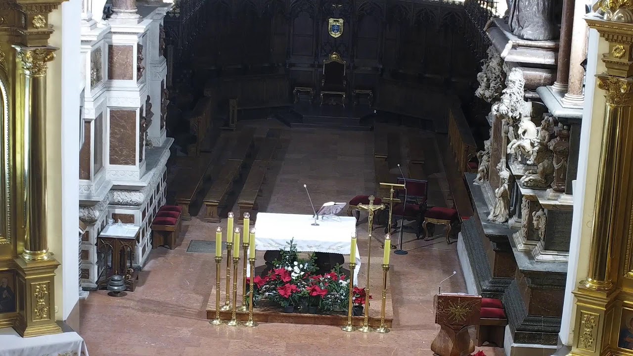 Transmisja z Katedry Tarnowskiej